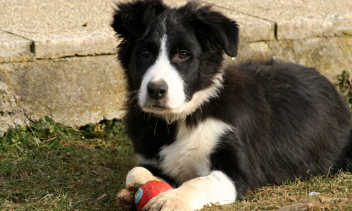 Foto: Lisi Schlatzer